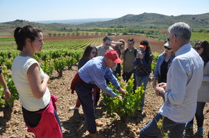 Visita a un viñedo