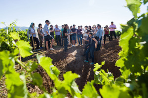 02 Los expertos del Congreso Internacional del Terroir en las calicatas de la DOP Cariñena (4)