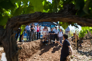 04 Los expertos del Congreso Internacional del Terroir en las calicatas de la DOP Cariñena (2)