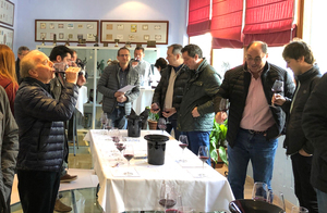 Cata de vinos de la DOP Cariñena elaborados en Montpellier