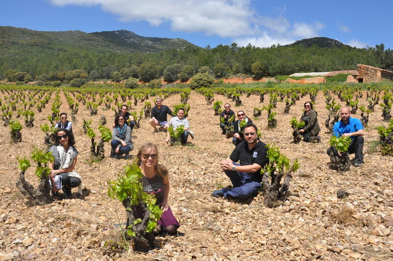 Periodistas y sumilleres durante una de sus visitas a los viñedos de la DOP Cariñena
